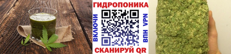 дарнет шоп  Перевоз  Cannafood конопля 