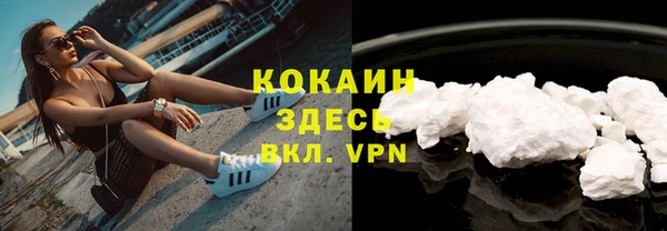 хмурый Алексин