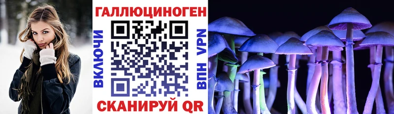 Галлюциногенные грибы Psilocybine cubensis  Перевоз 